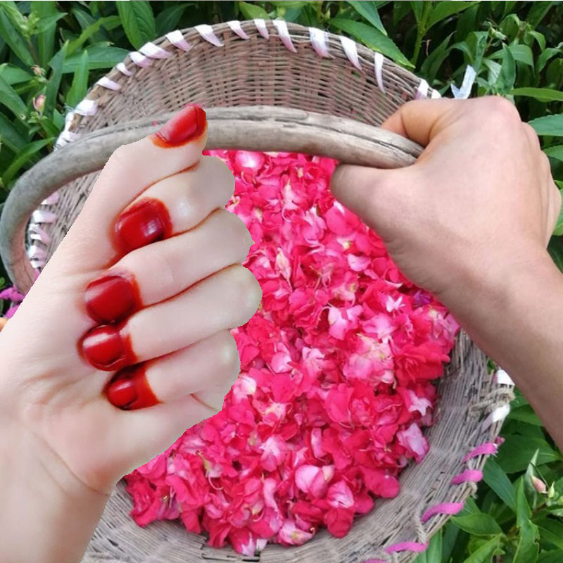 Nail Art For Men - 40g henna tintura de unhas em